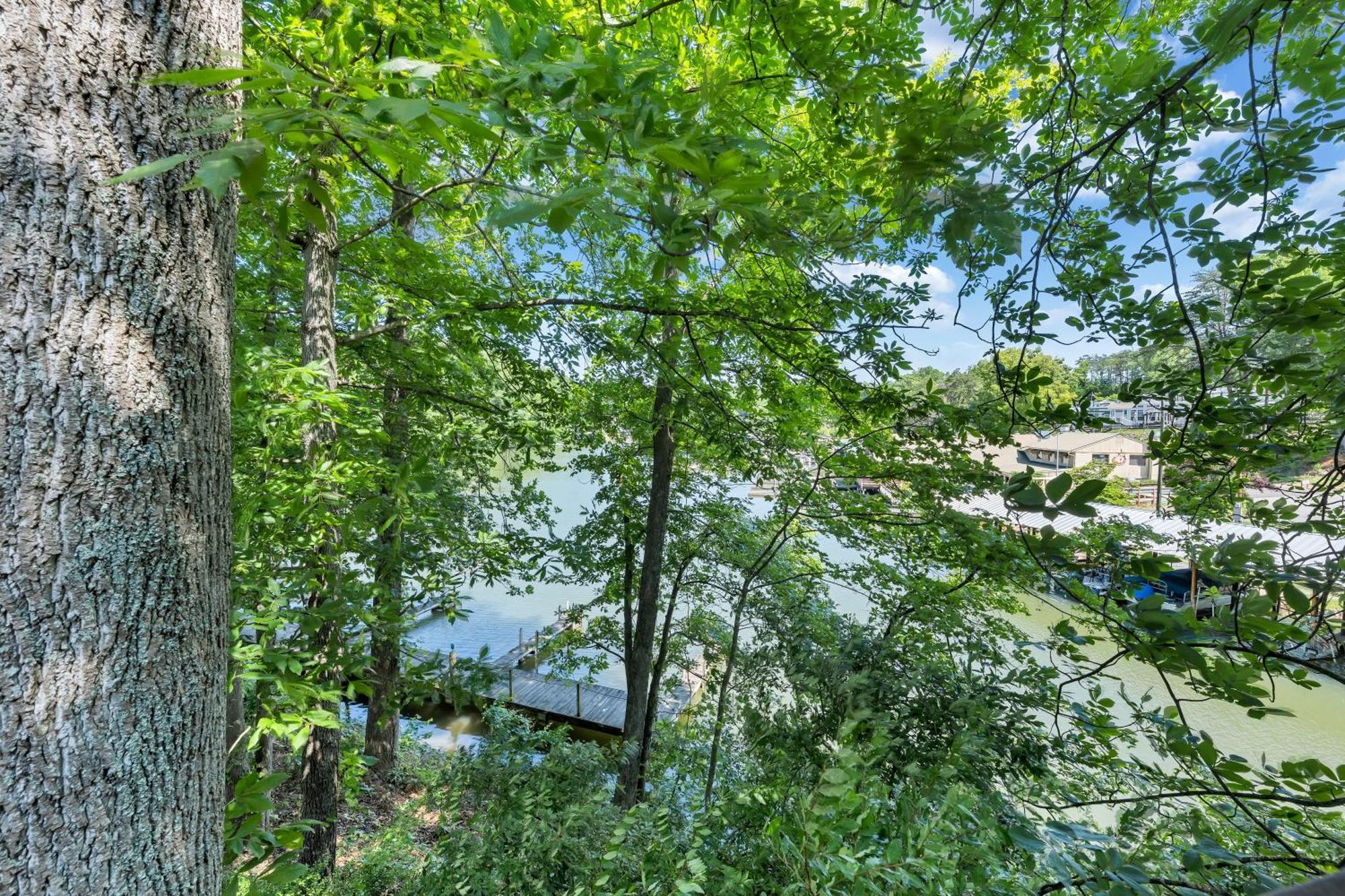 Halesford Harbour Resort - Smith Mountain Lake Moneta Extérieur photo